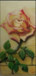 Gelbrote Rose